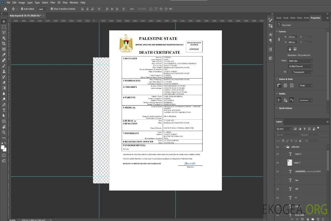 Modèle Word et PDF de certificat de décès de l'état civil de la Palestine template Modèle Word et PDF de certificat de décès de l'état civil de la Palestine template